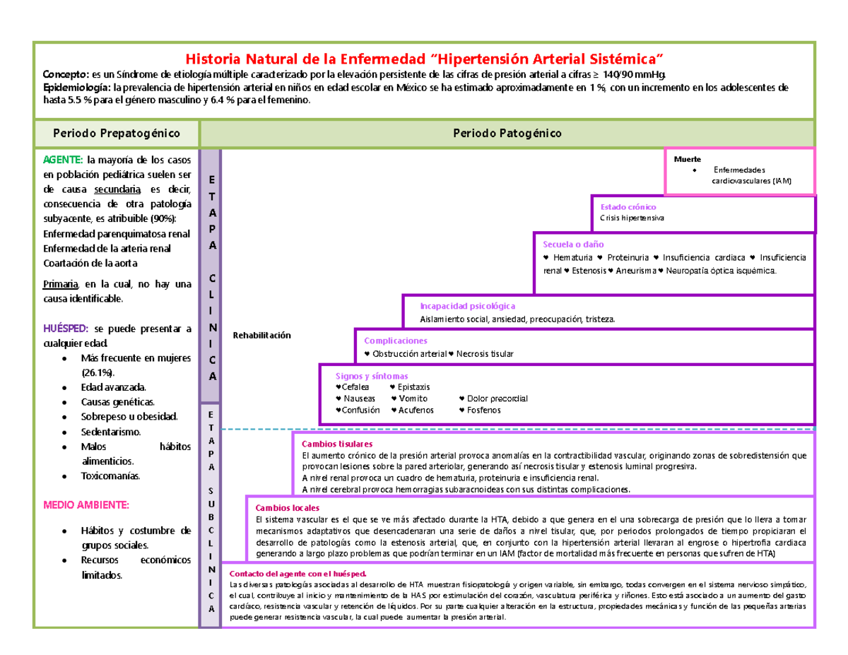 Historia Natural de la Enfermedad “Hipertensión Arterial Sistémica
