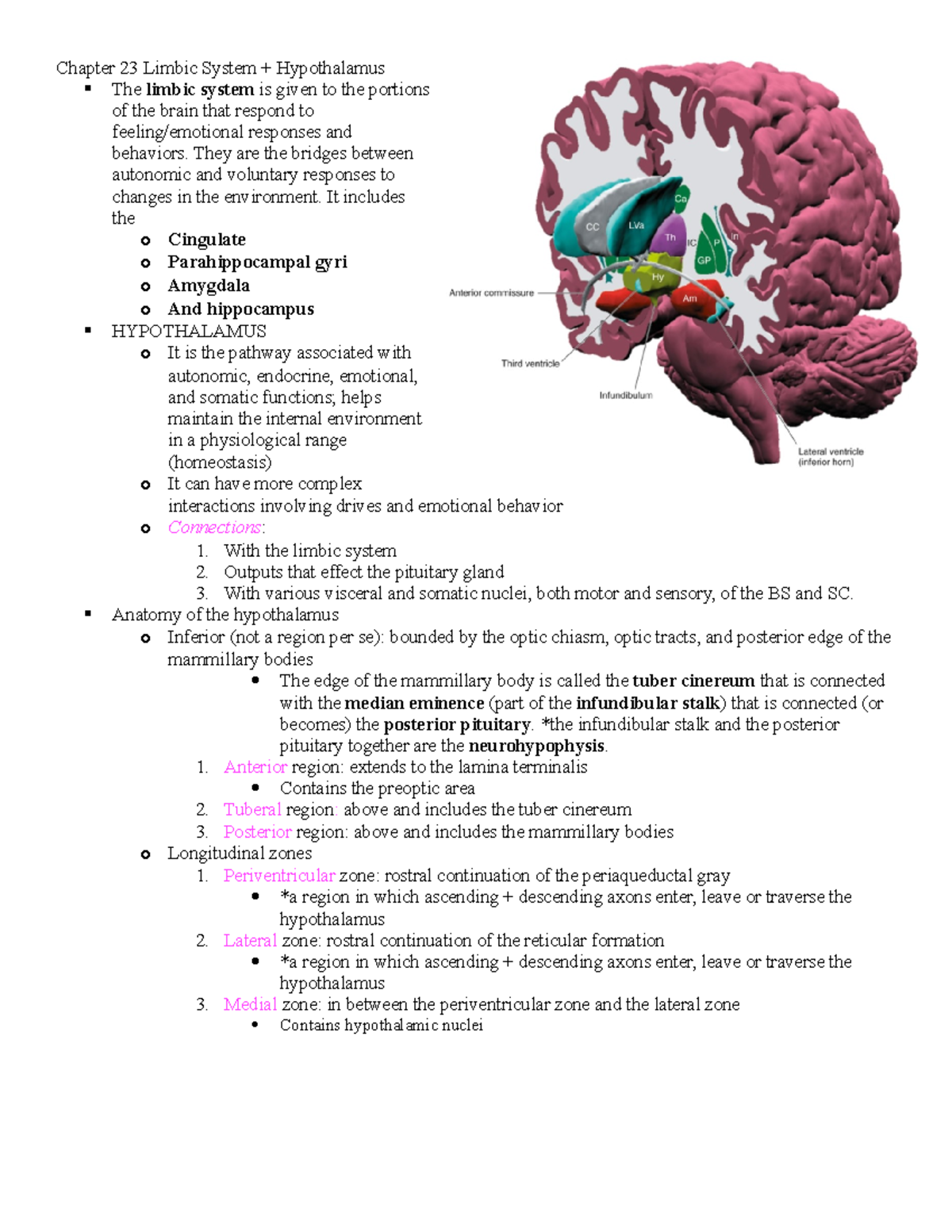 Chapter 23 Limbic System and hypothalamus - Chapter 23 Limbic System ...