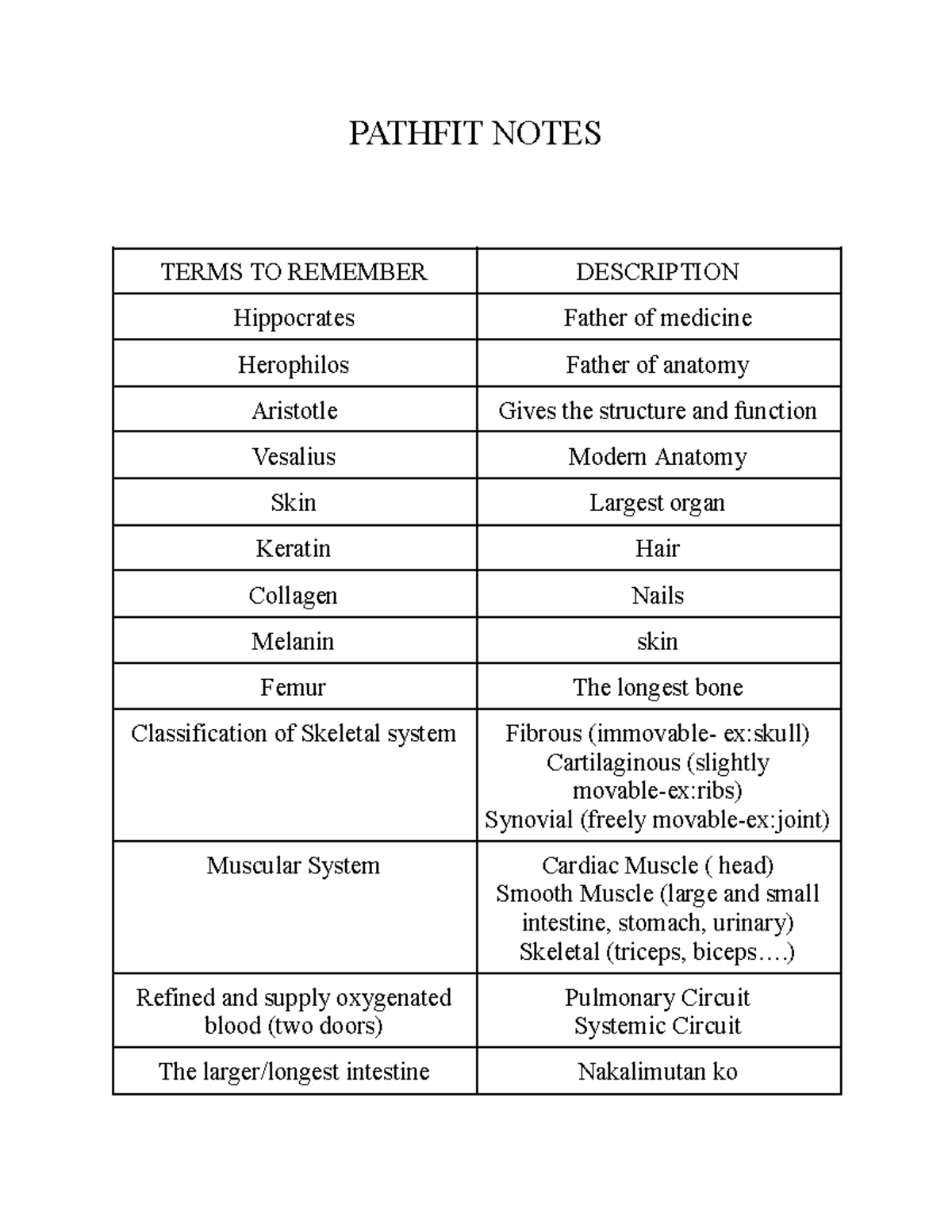 Anatomy Terms Quizletpitpoint Detail - rvfjt6p
