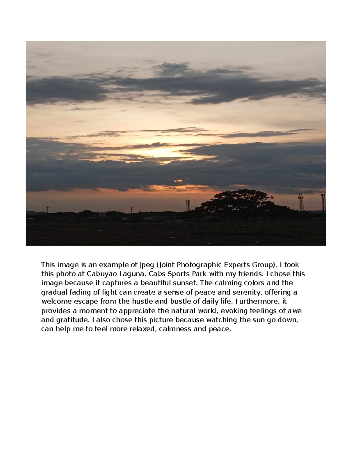 Emtech - for the dl; puposes - This image is an example of Jpeg (Joint ...