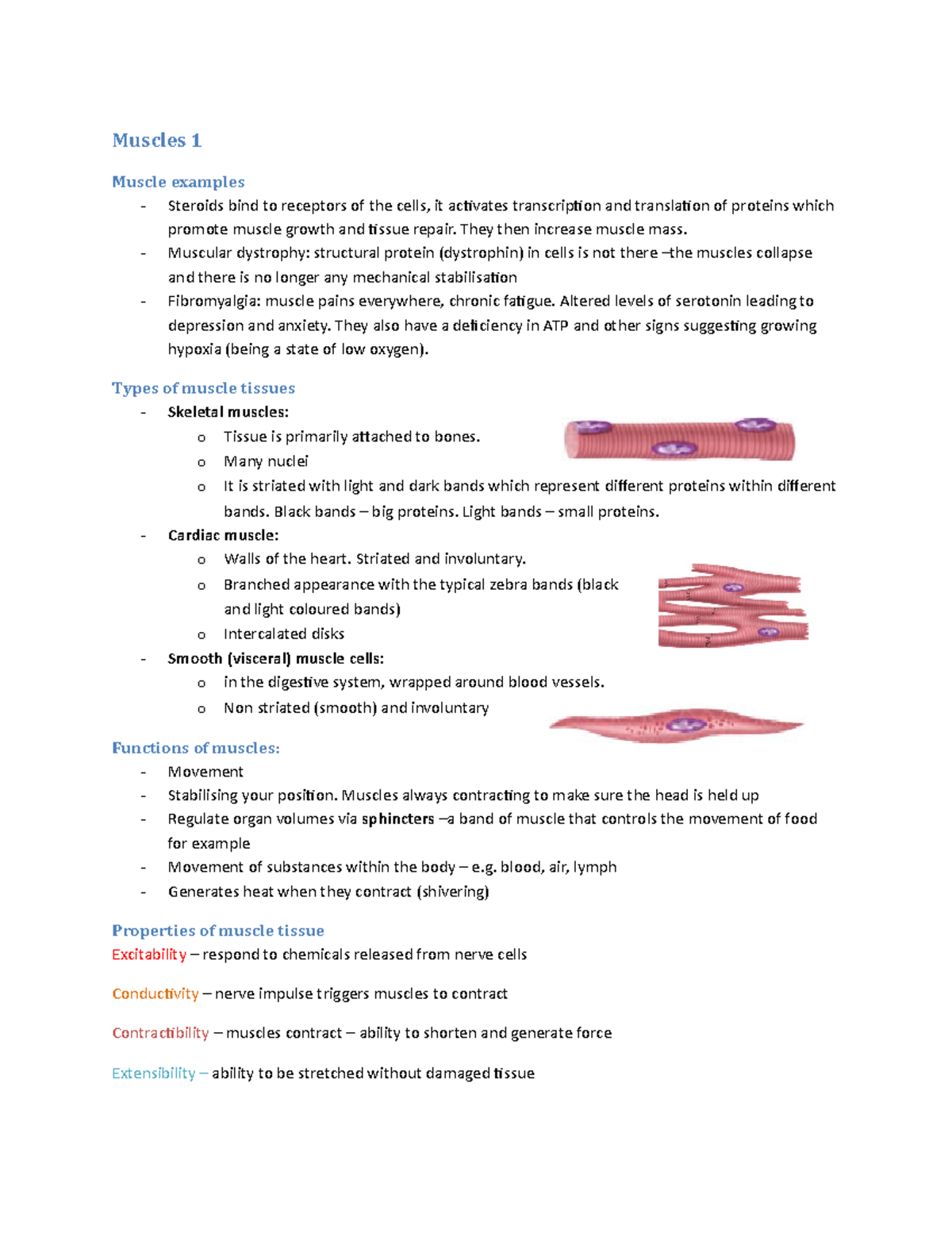 Human Anatomy And Physiology Lecture Notes - Muscles - UTS - StuDocu