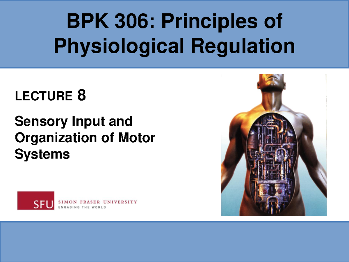 Lecture notes- 8,9 Sensory Input and Organization of Motor Systems ...