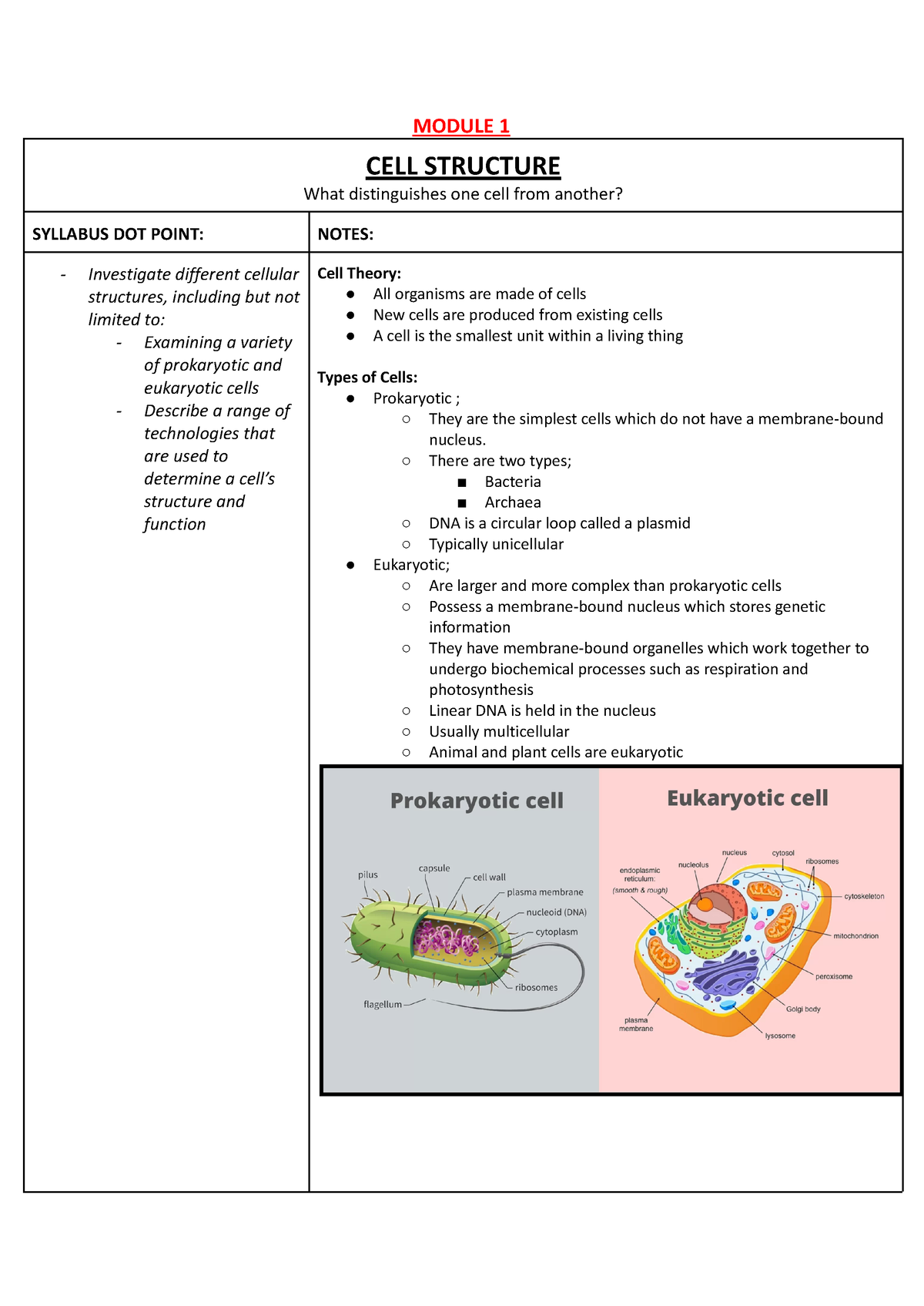 Biology Prelim Revision - MODULE 1 CELL STRUCTURE What Distinguishes ...