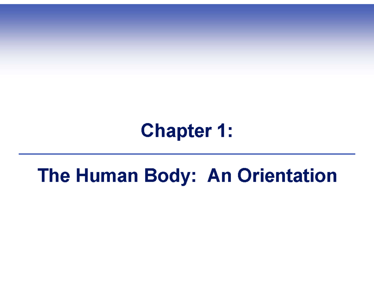 Chapter 1 Human BODY AN Orientation - Chapter 1: The Human Body: An ...