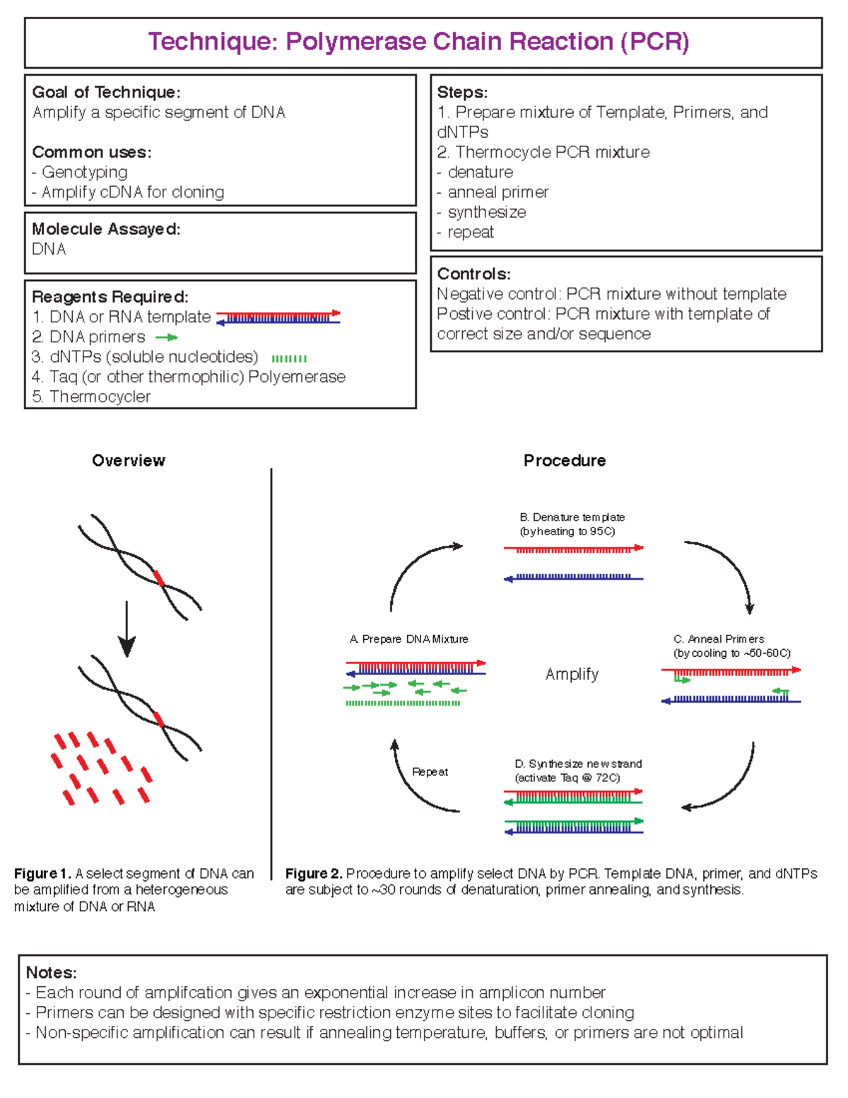 PCR - Technique directions - Technique: Polymerase Chain Reaction (PCR ...