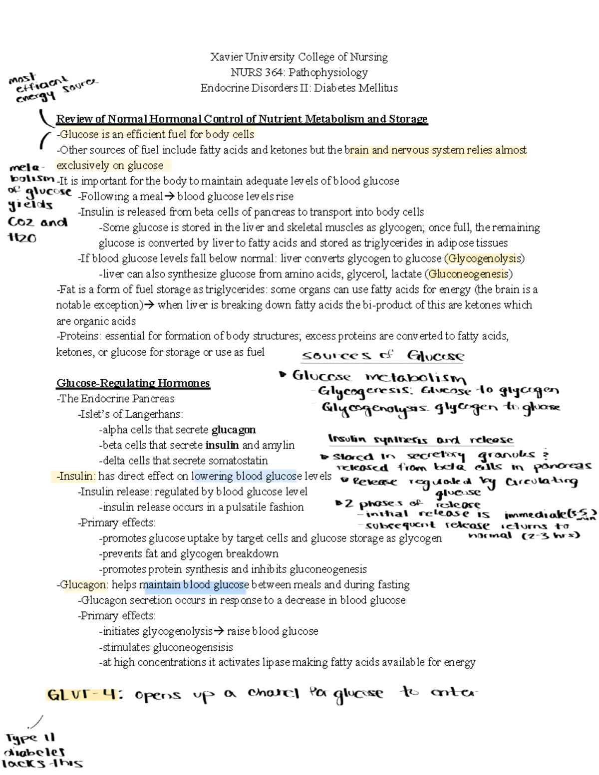 Endocrine+disorders+2+DM+Class+notes+ Answers - Xavier University ...