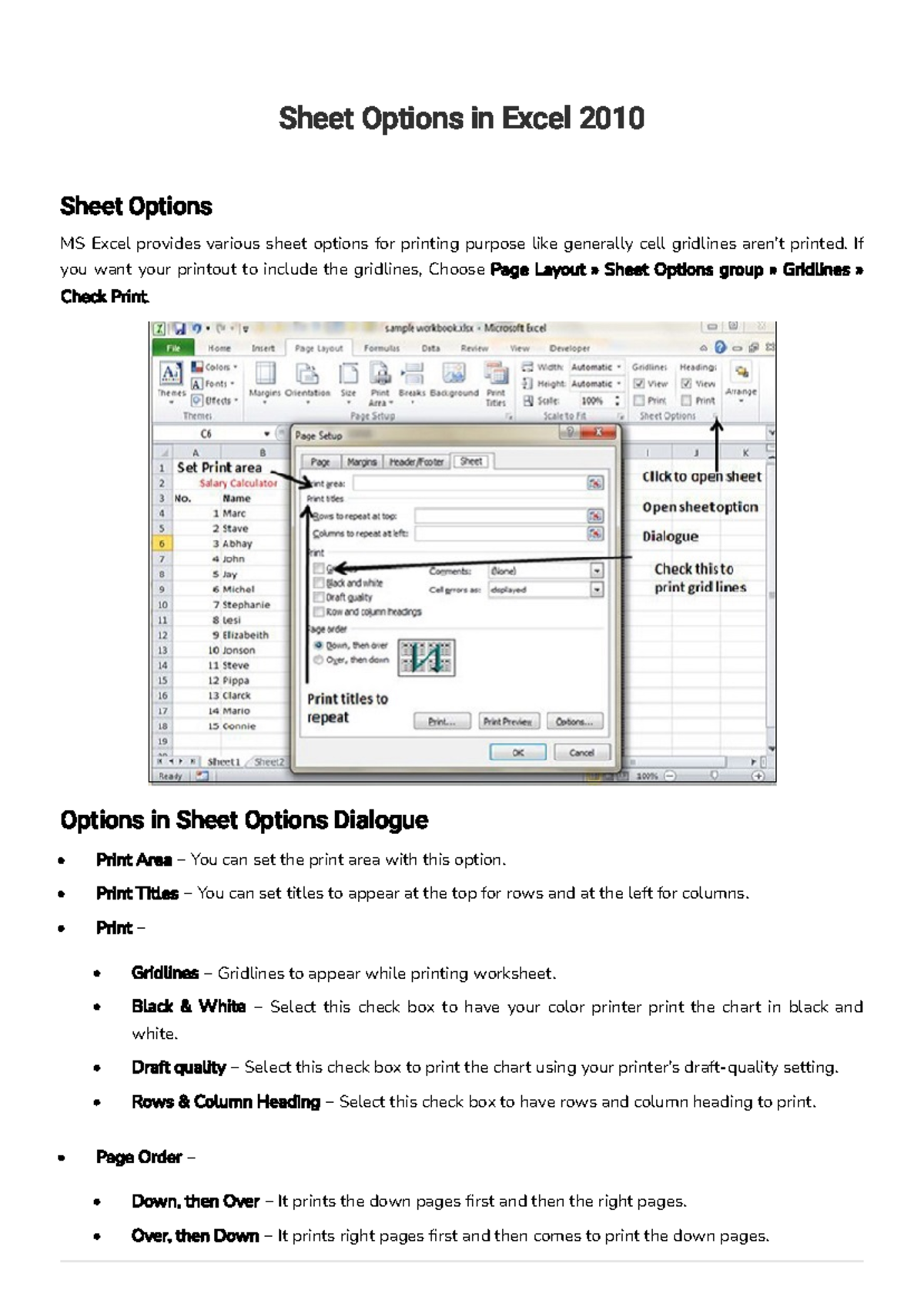 MS Excel Basic-Formatting Worksheets 1 - Sheet Options in Excel 2010 ... image.