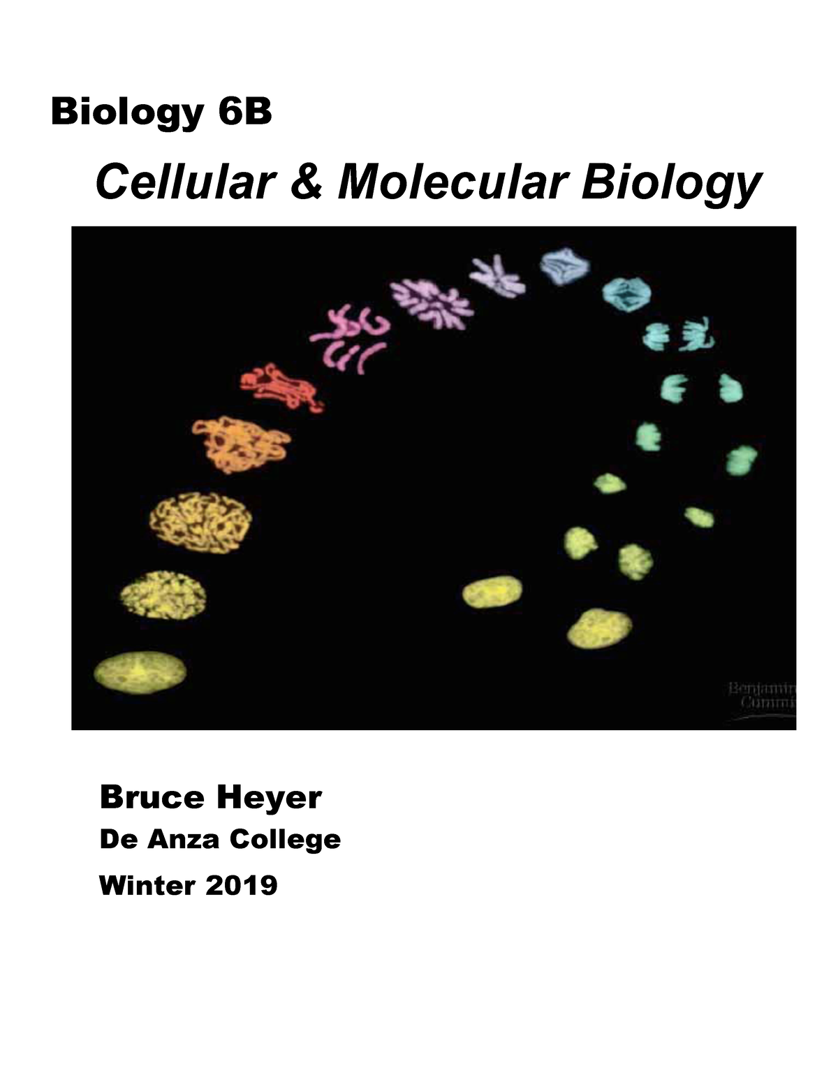 Bio6B-Manual W19 - HAHAHA - Biology 6B Cellular & Molecular Biology ...