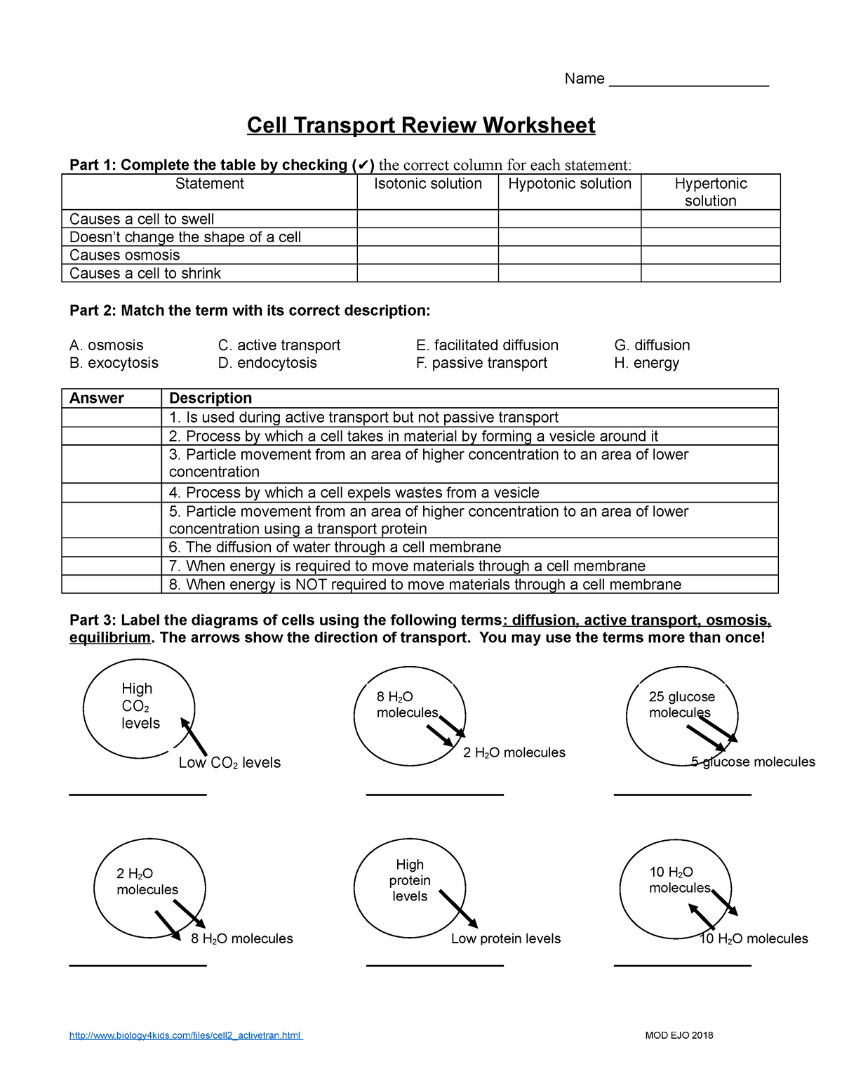 Handout - Cell Transport Review Worksheet - Name Cell Transport For Cell Transport Worksheet Biology Answers