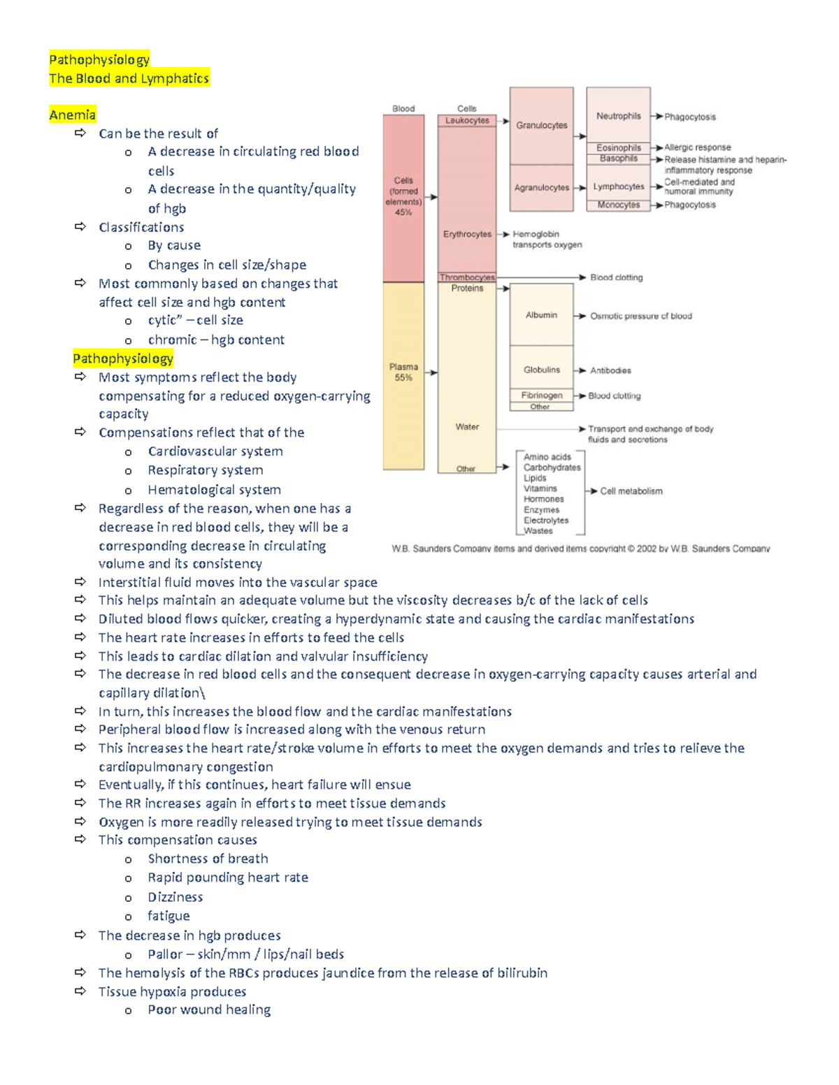 Blood Lymphatics - class notes - Pathophysiology The Blood and ...