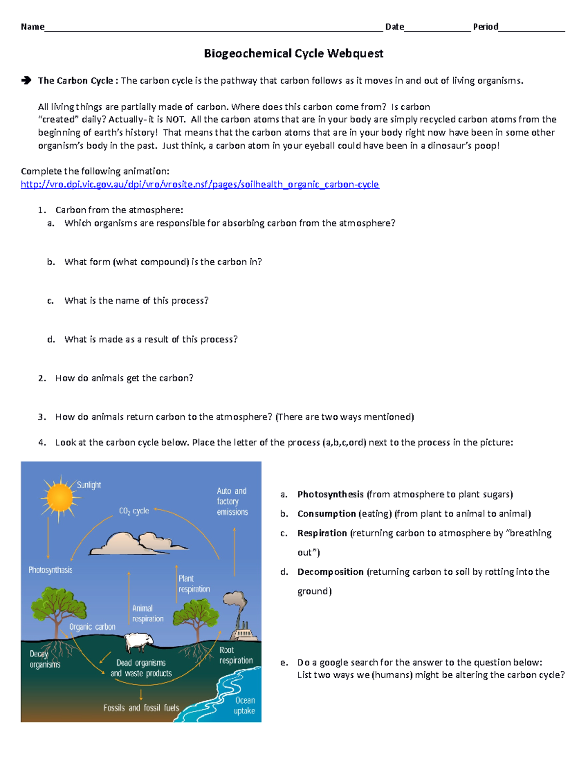 Biology Biogeochemical Cycle Webquest - - Studocu