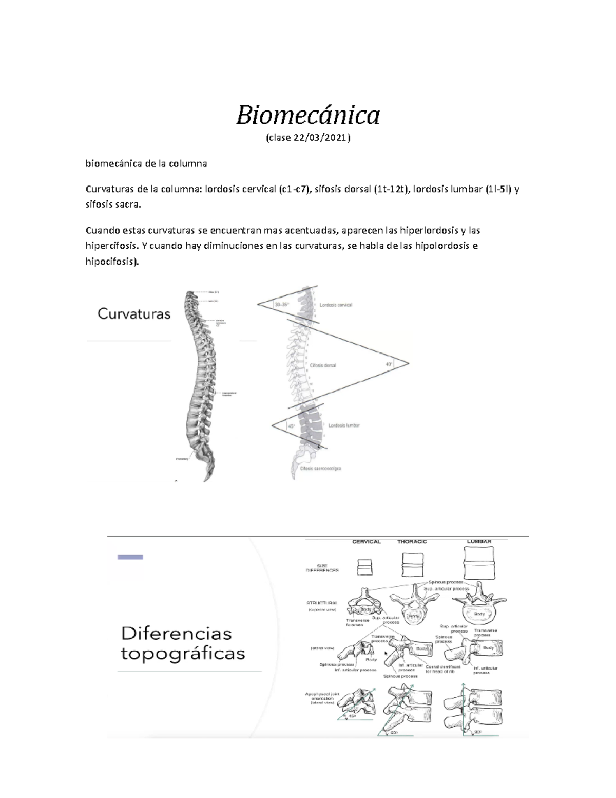 Tipeo De Biomecanica - Biomecánica (clase 22/03/2021) Biomecánica De La ...