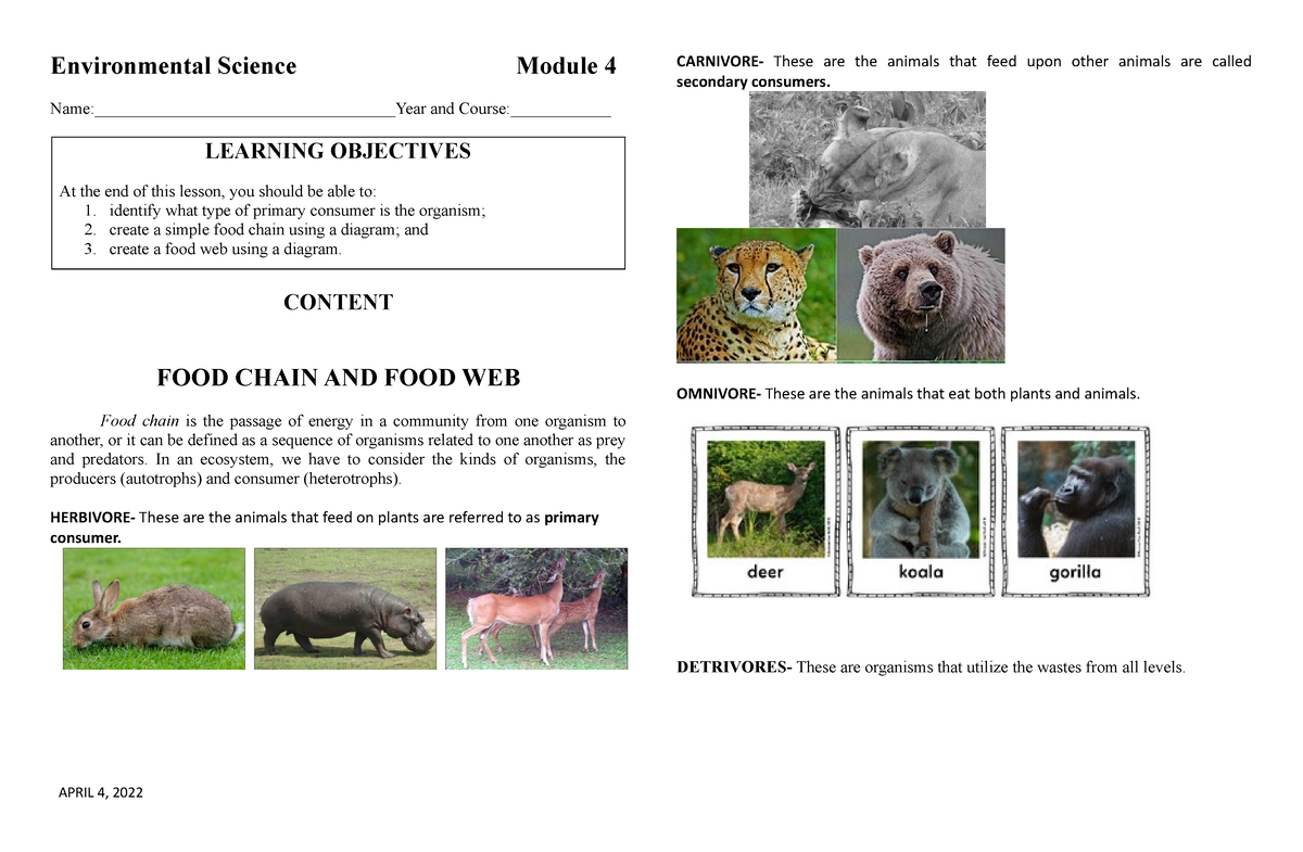 Environmental Science- Module 4 - Identify What Type Of Primary ...