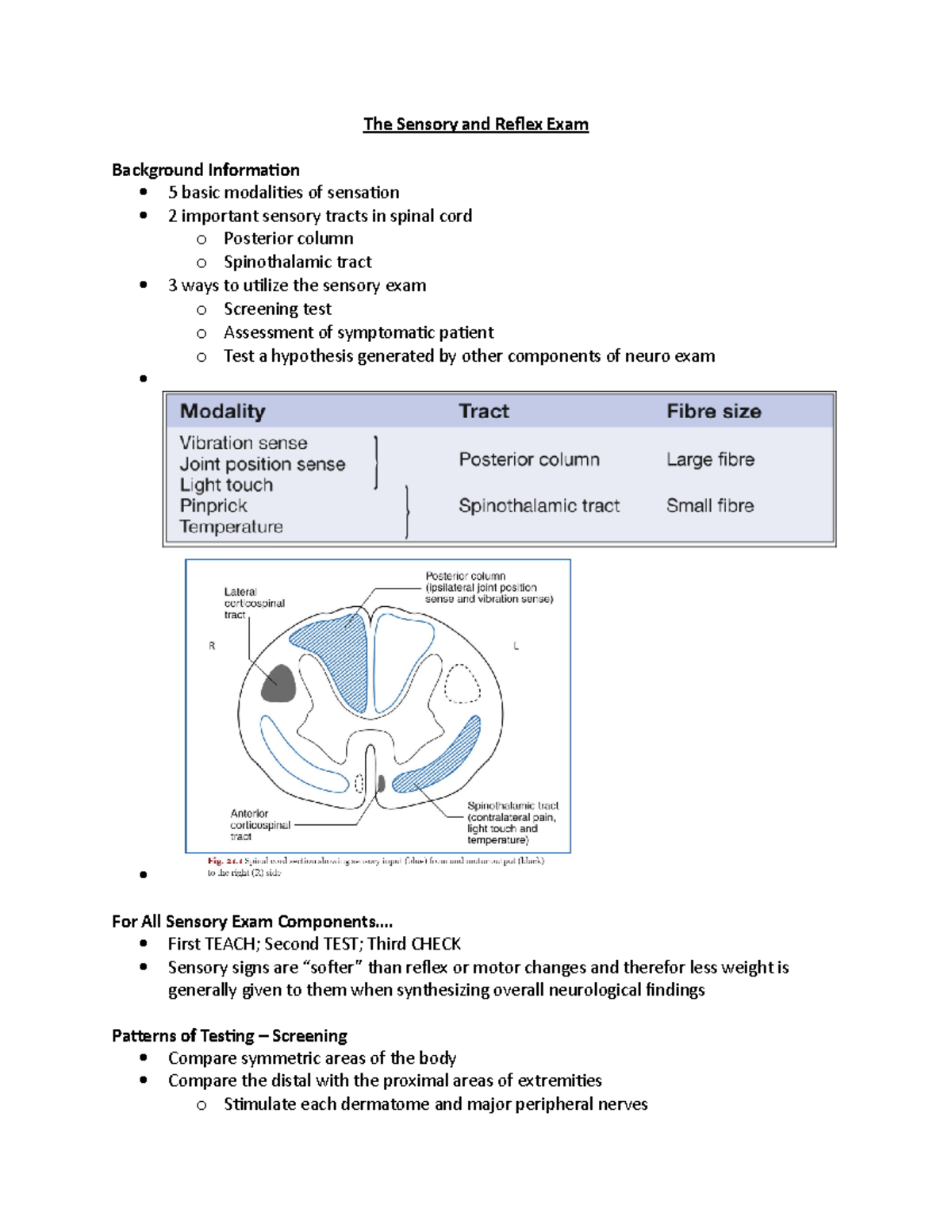 The Sensory And Reflex Exam - The Sensory And Reflex Exam Background 