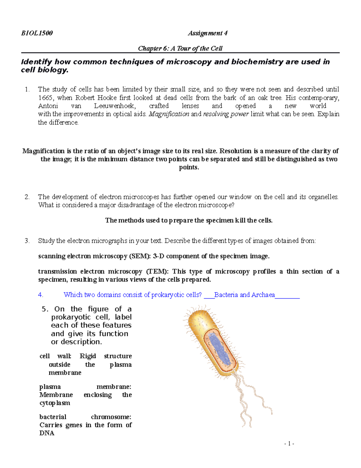 mastering biology assignment 4 answers