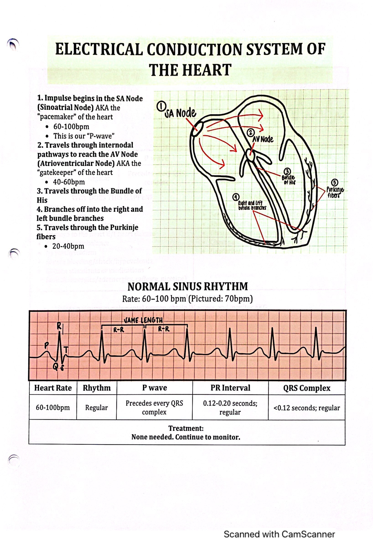 Ekg cardiac - ELECTRICAL CONDUCTION SYSTEM OF THE HEART 1. Impulse ...