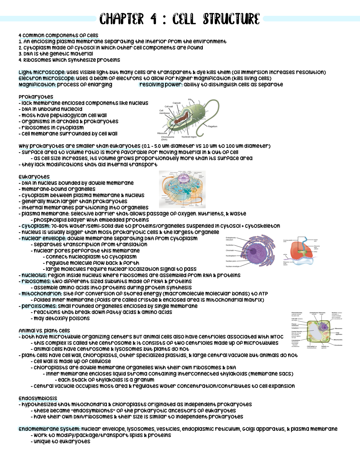 Biology I - Dr. Kim’s class - 4 common components of cells An enclosing ...