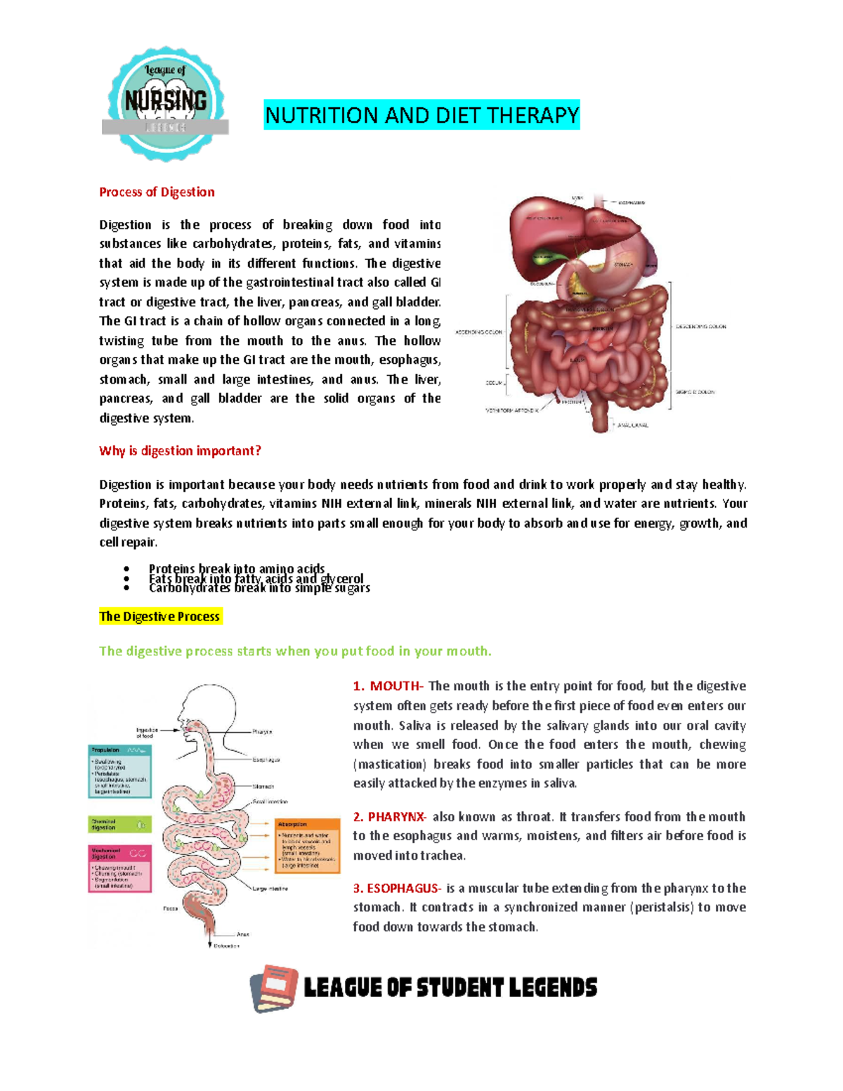 Process Of Digestion Nutrition And Diet Therapy Process Of Digestion