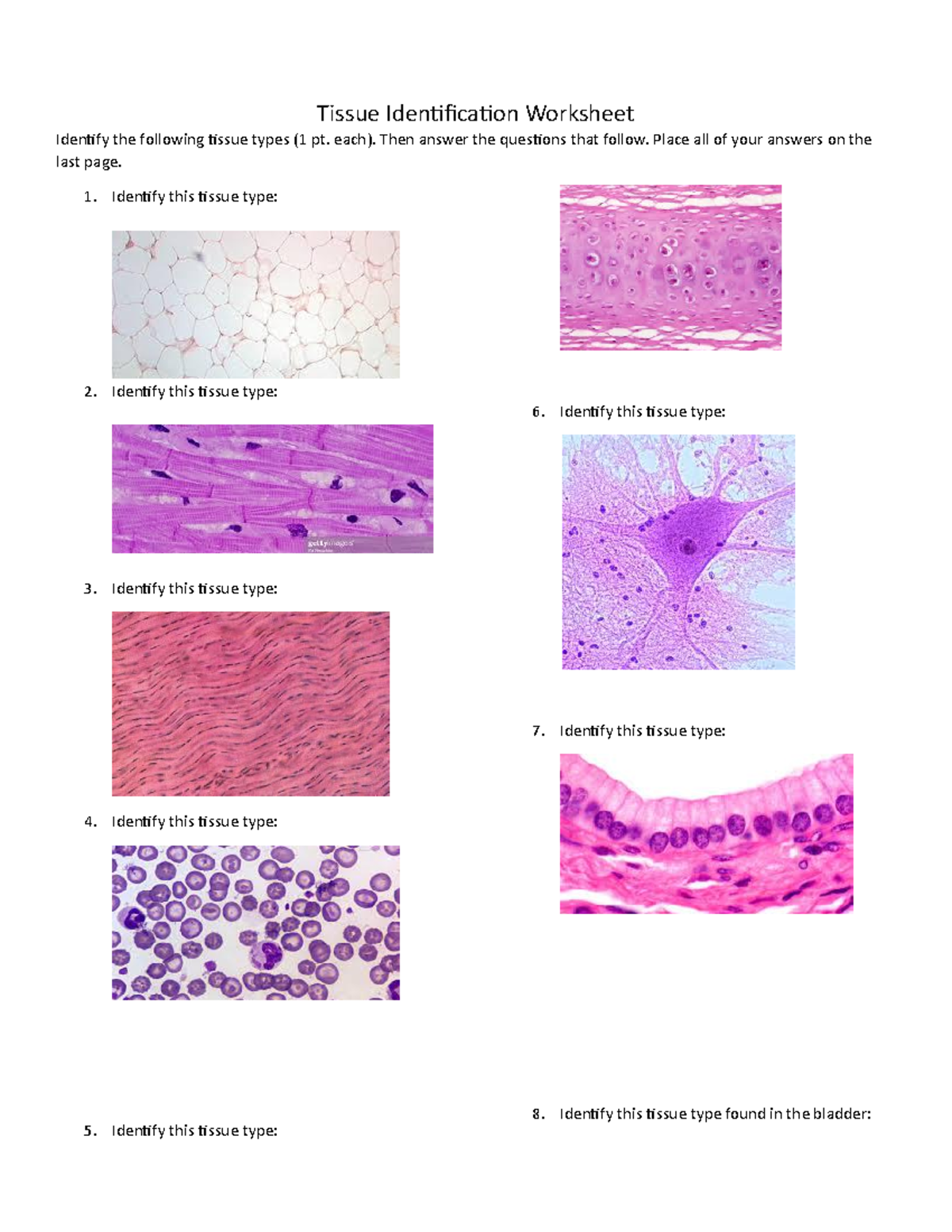 Module 3, Part 2 Tissue Worksheet - APHY101 - Ivy Tech - Studocu