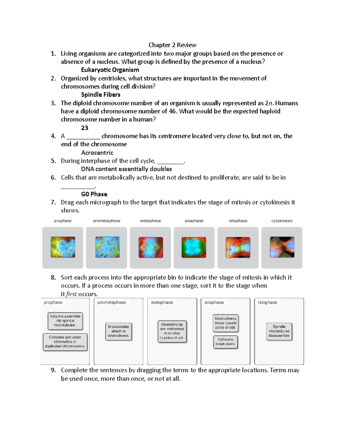 Chapter 2 Review - n/a - Chapter 2 Review Living organisms are ...