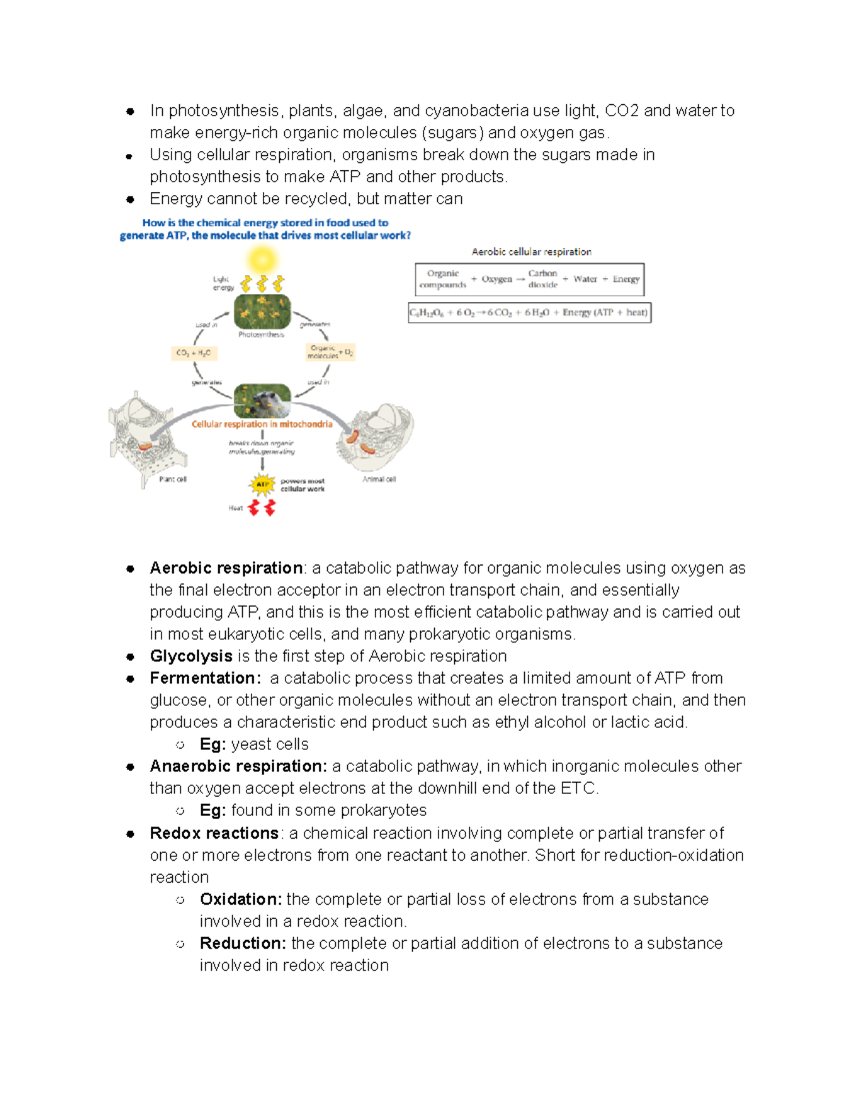 Chapter 9 Cellular respiration In photosynthesis, plants, algae, and