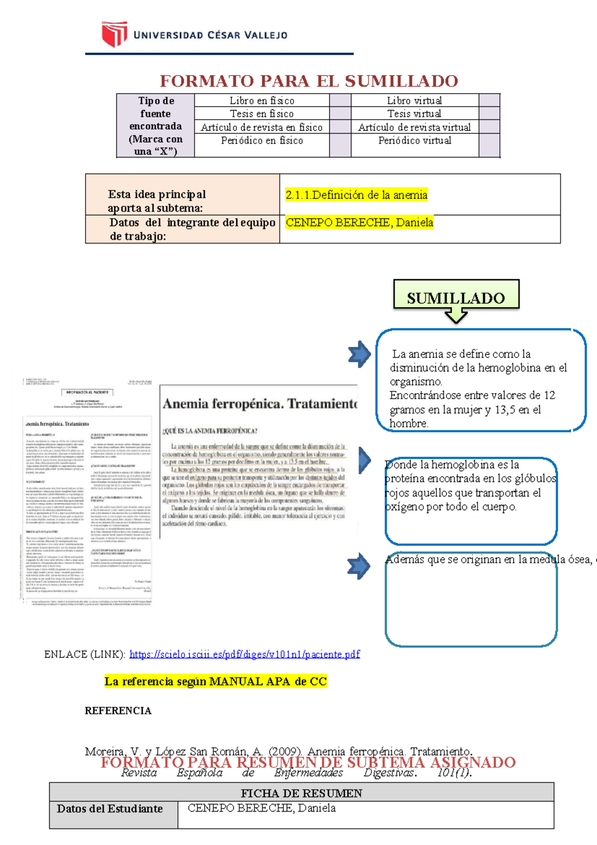 Formato Individual PARA Elaborar Subtemas - Sumillado- Resumen DEL TEMA ...