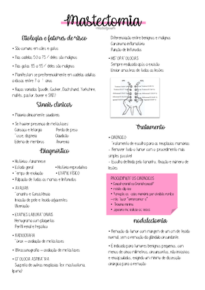 Hemorragia E Hiperemia 25 03 HEMORRAGIA É a perda de sangue do sistema circulatório para