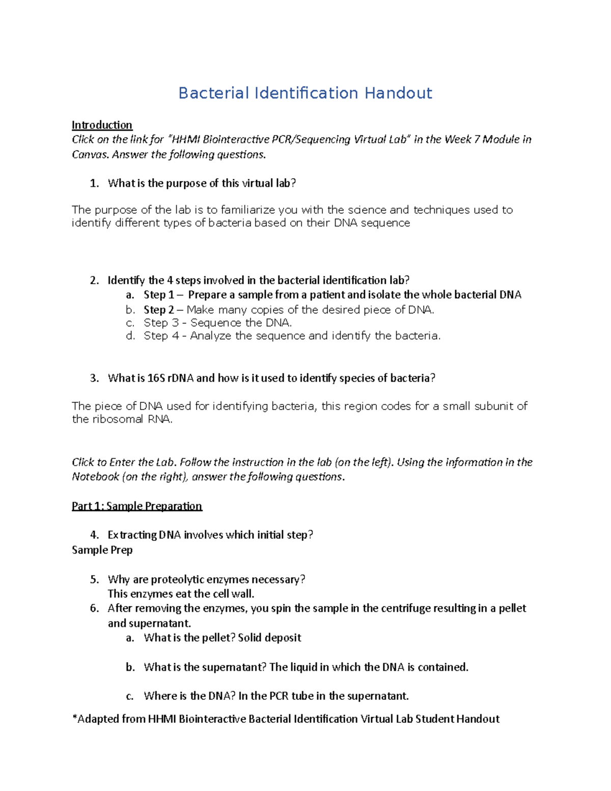 Bacterial Identification Handout Bacterial Identification Handout