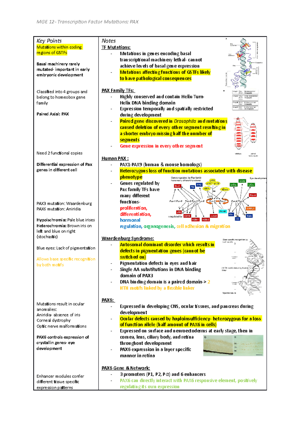 TF Mutations PAX Family MGE 12 Transcription Factor Mutations PAX