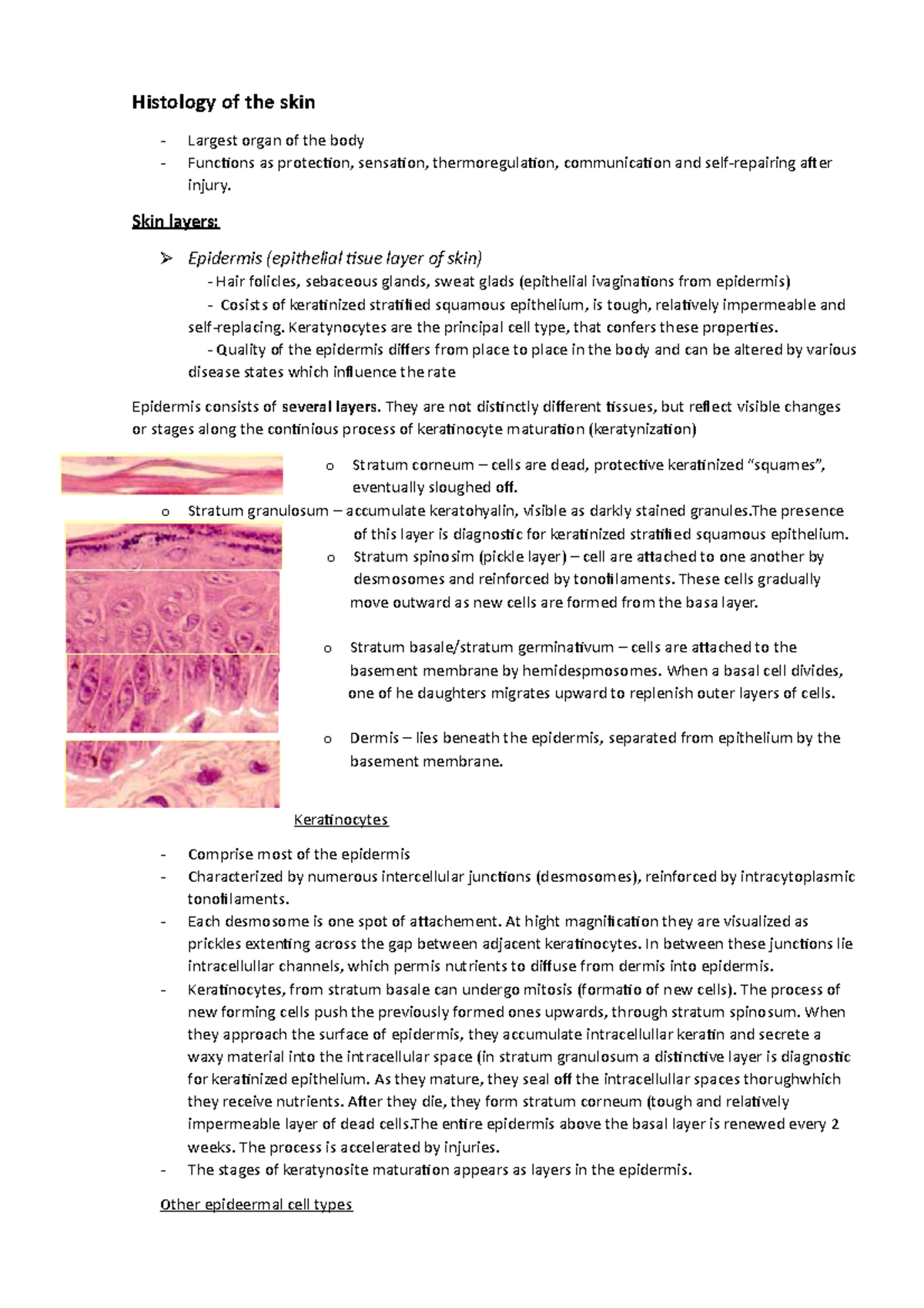 Histology of the skin Histology of the skin Largest organ of the body Functions as protection