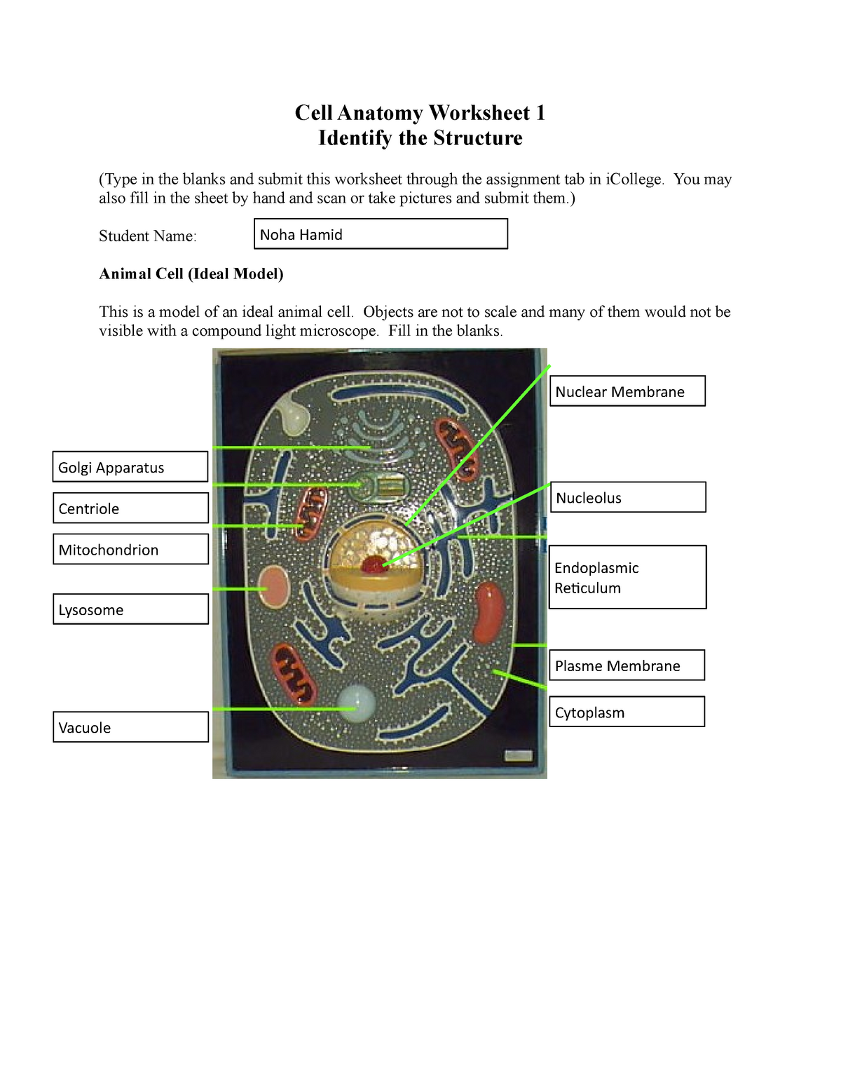 Cell Anatomy Worksheet 1 - BIOL 1103: Introduction to Biology - StuDocu