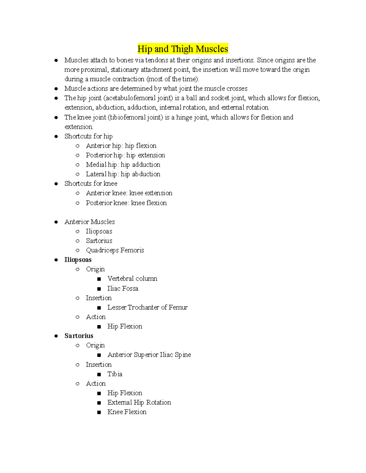 Anatomy Lab 7 Hip and Thigh Hip and Thigh Muscles Muscles attach to