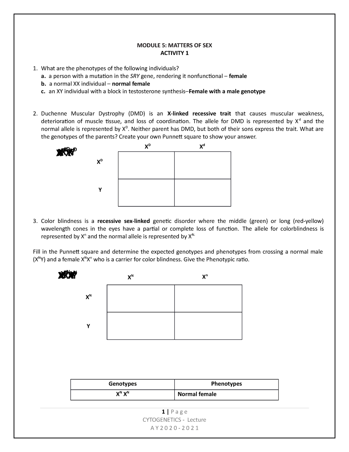 Matters Of Sex Act1 Module 5 Matters Of Sex Activity 1 What Are The Phenotypes Of The 7691