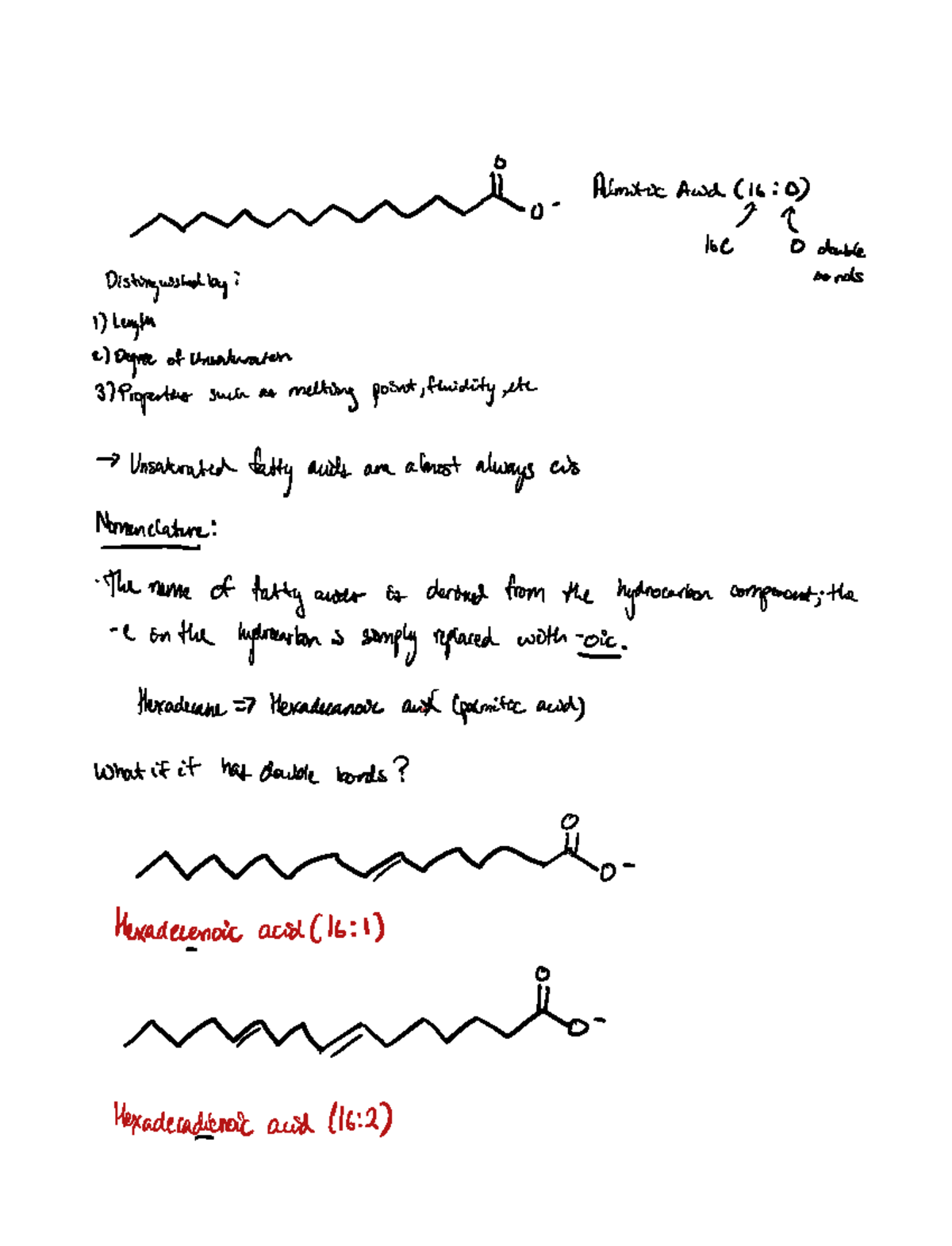 Fatty Acids and Lipids BIOCHEM 5614 Studocu
