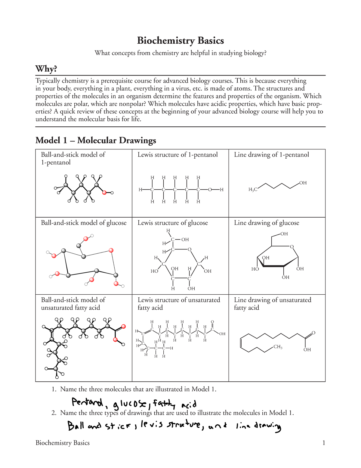 Biochemistry Basics Pogil Answer Sheet