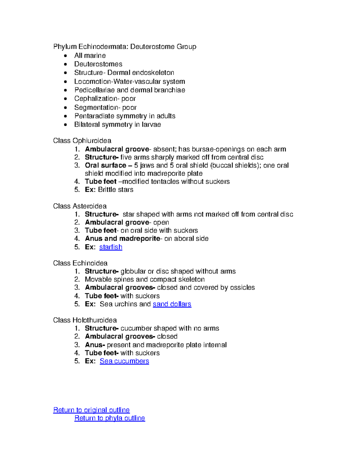 Echinoderm - lecture notes - Phylum Echinodermata: Deuterostome Group ...
