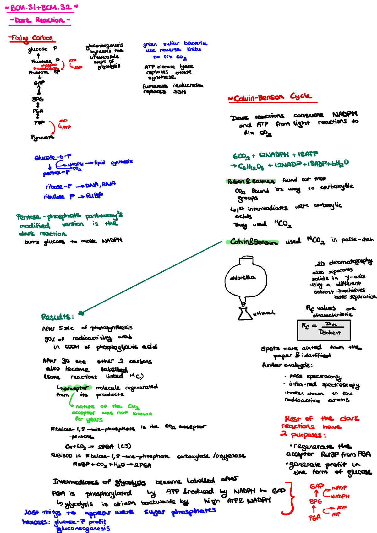 BCM.31-BCM.32 NOTES - NBCM.3.lt/3CM~ - Dark Reaction - Fixing carbon ...