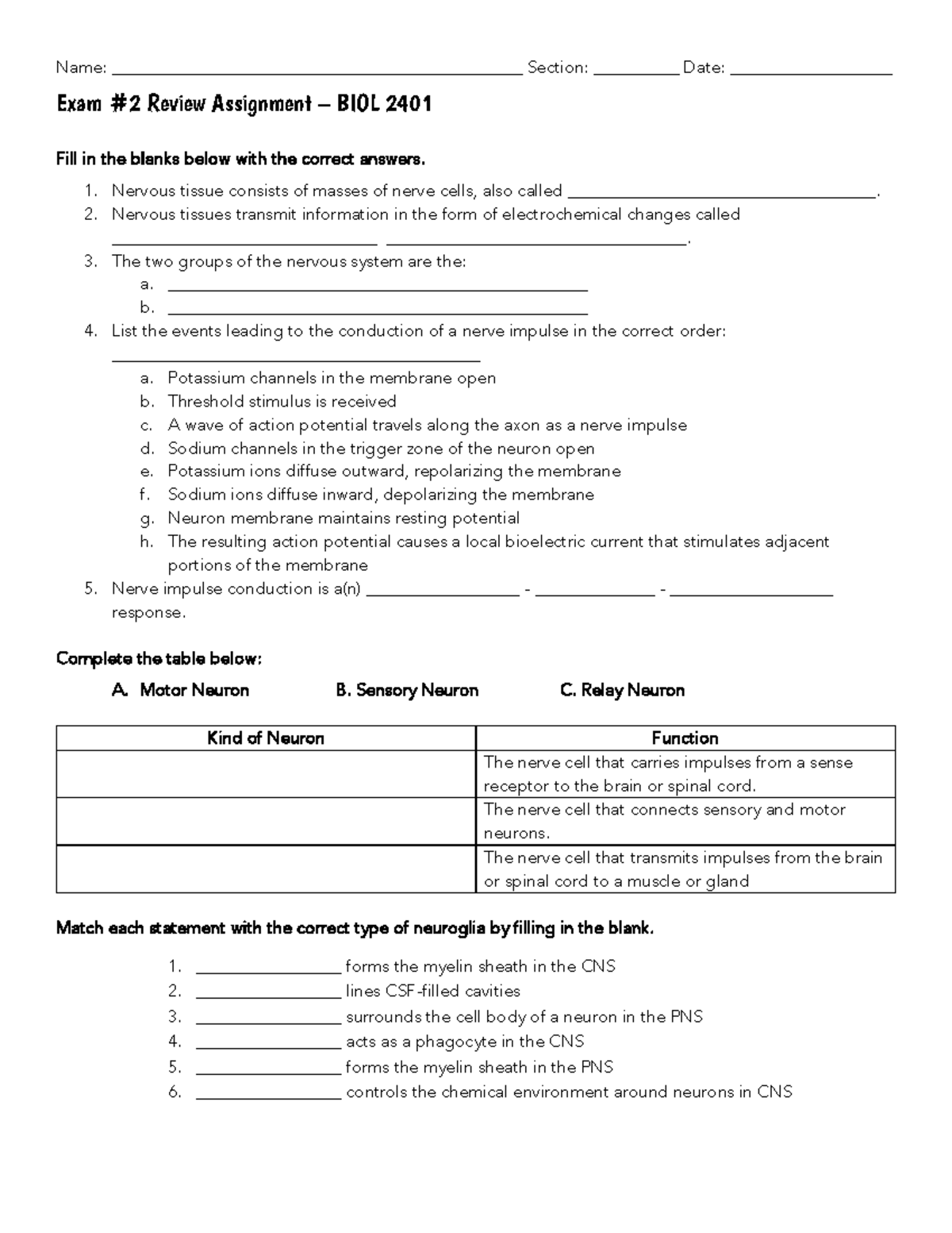 Exam #2 Review - BIOL 2401 - Name ...