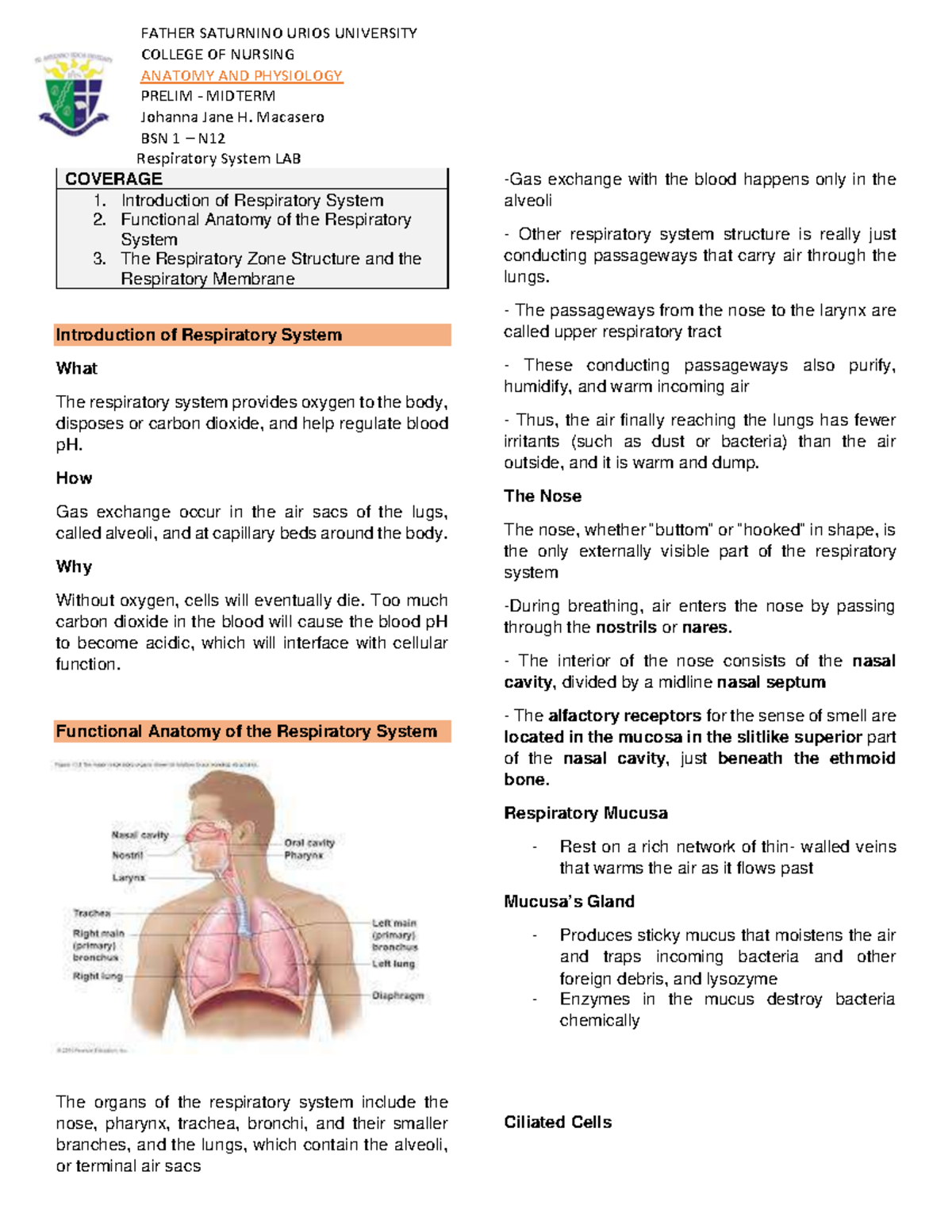 Johanna Macasero Respiratory System LAB transes - FATHER SATURNINO ...