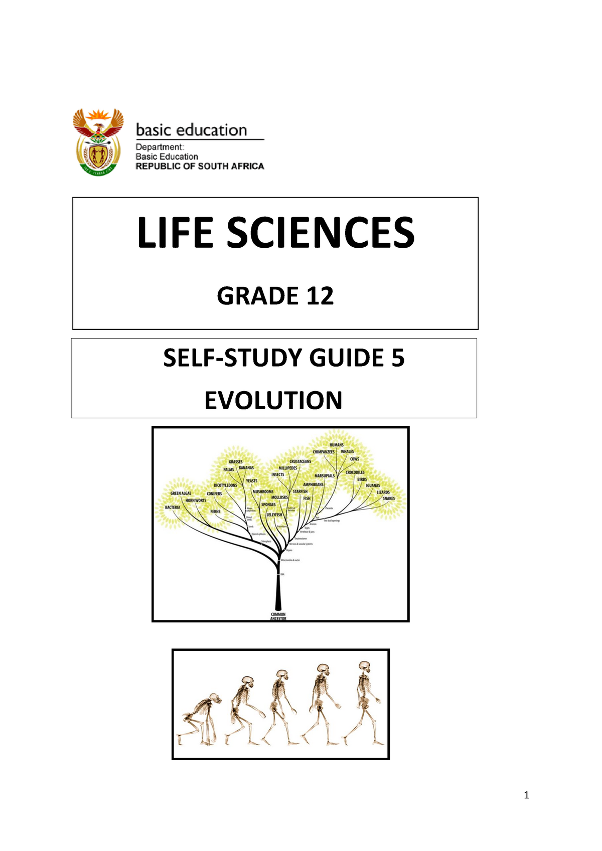 life sciences grade 12 evolution assignment 2022
