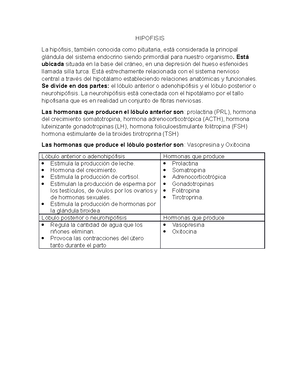 Manejo de rpbi en casa - AGUJAS, LANCETAS, JERINGAS Y CUALQUIER ...