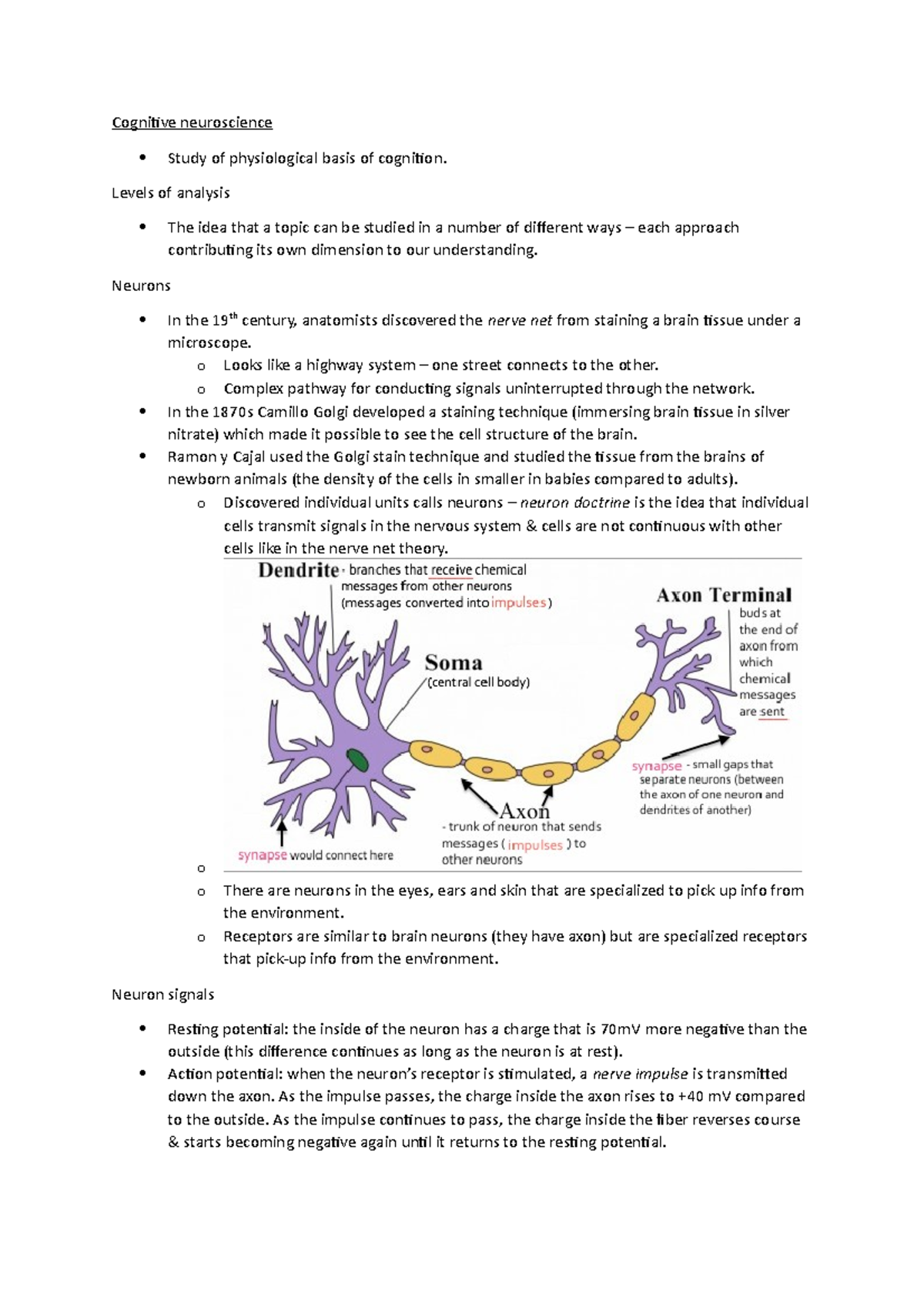 Chapter 2 notes - Cognitive neuroscience Study of physiological basis ...