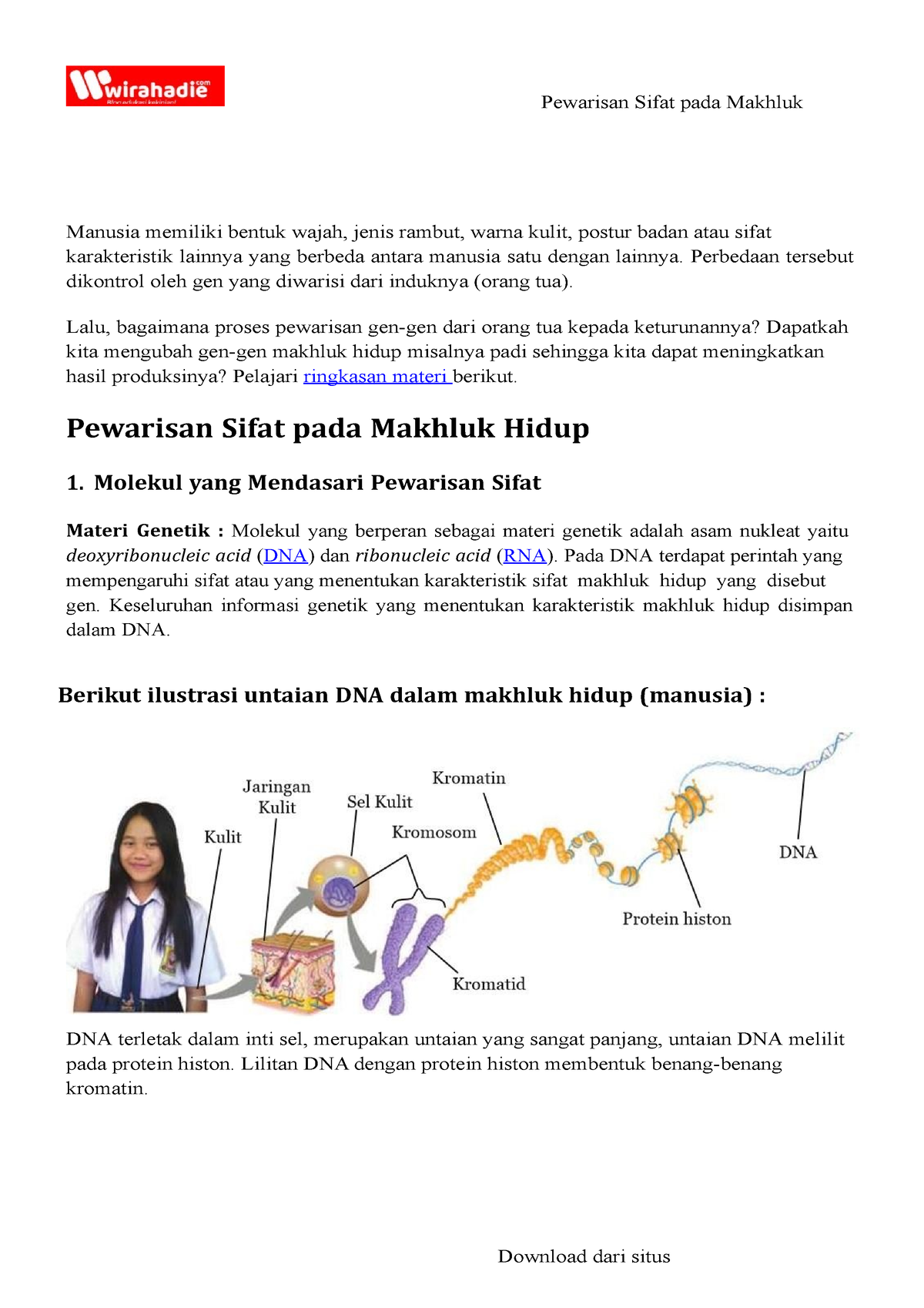 Pewarisan Sifat Pada Makhluk Hidup - Pewarisan Sifat Pada Makhluk Hidup ...