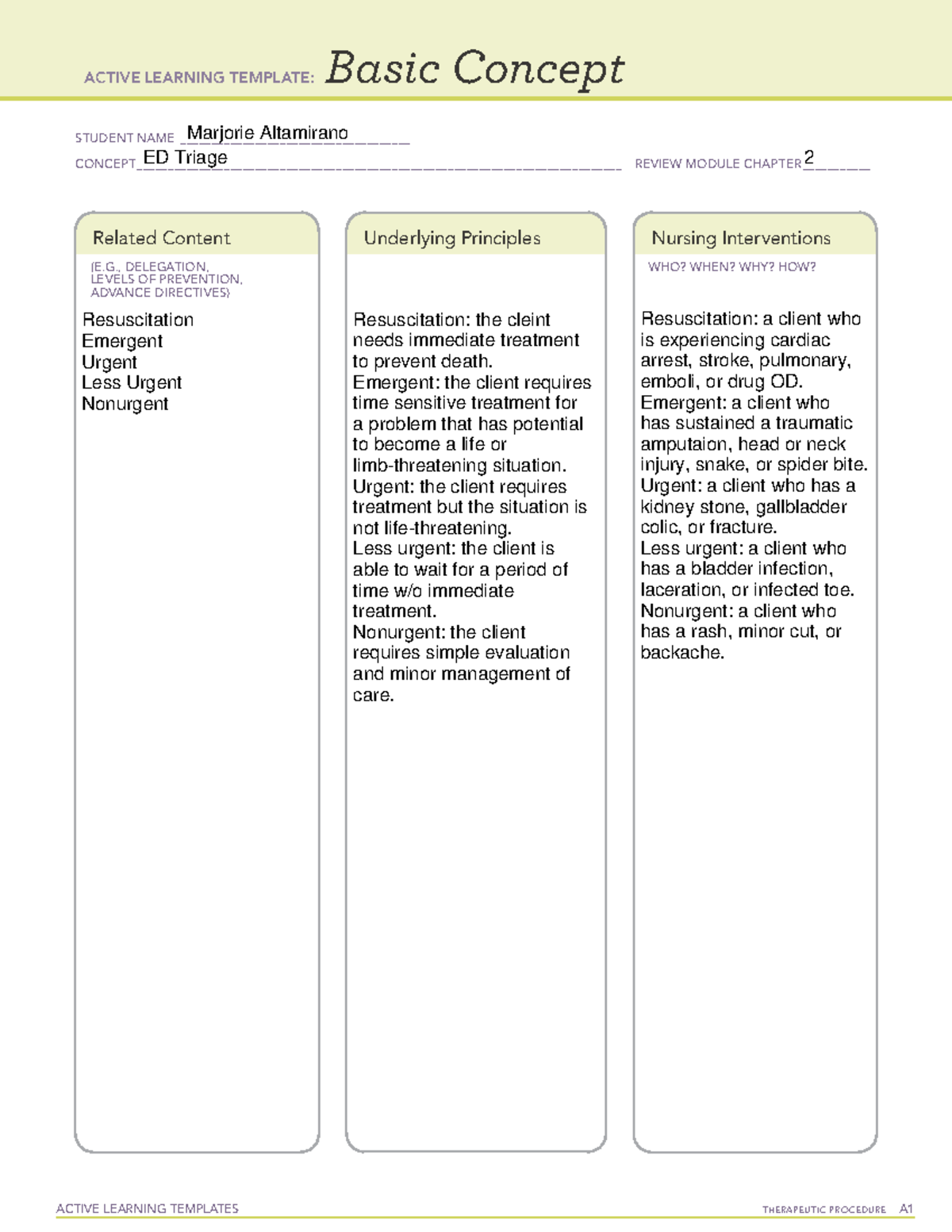 Ed Triage Ch 2 Basic Concept Template - Active Learning Templates 