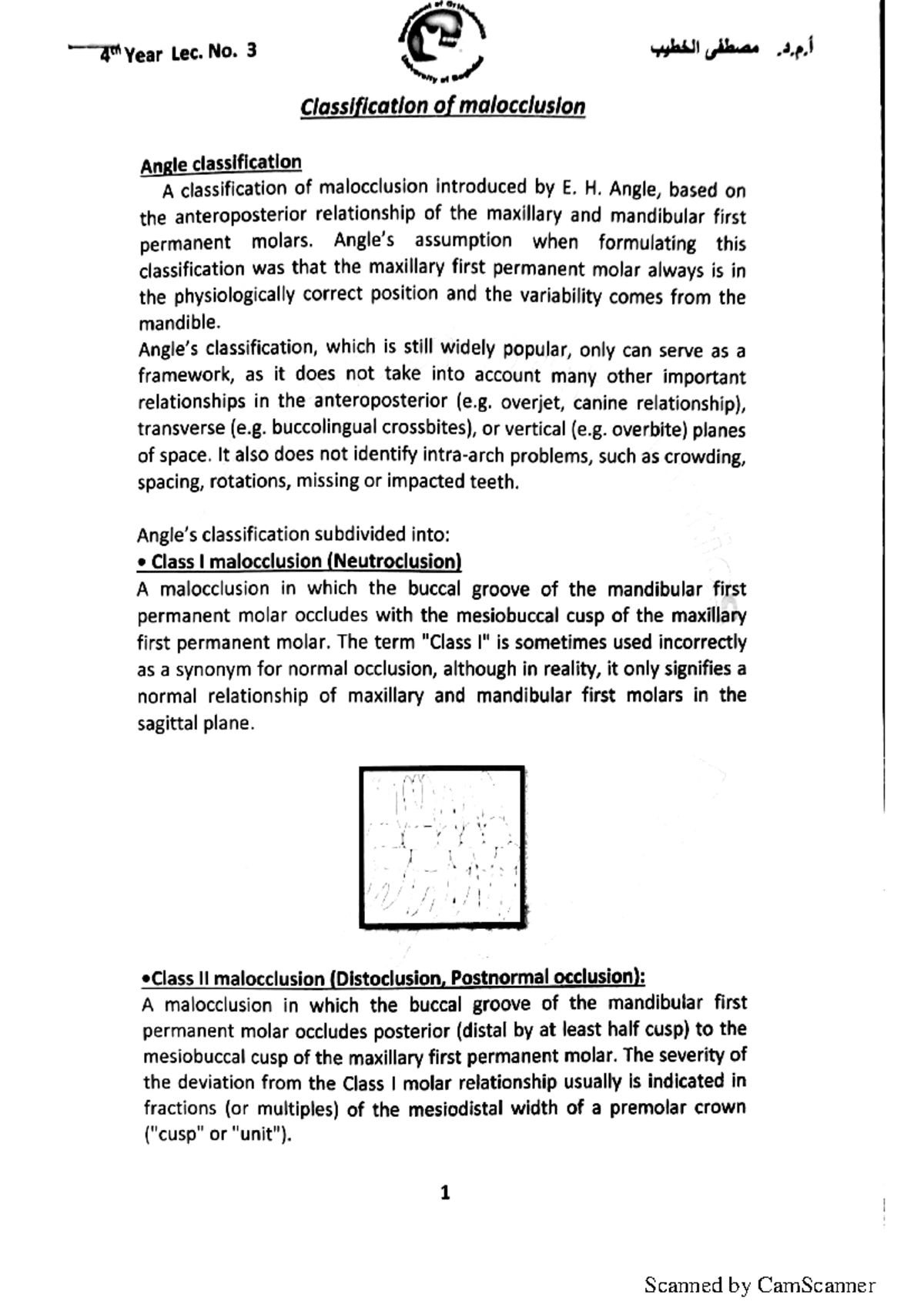 Ortho Lec3 community dentistry Studocu