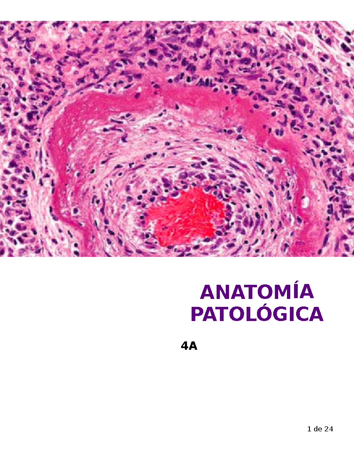 Anatomia Patologica