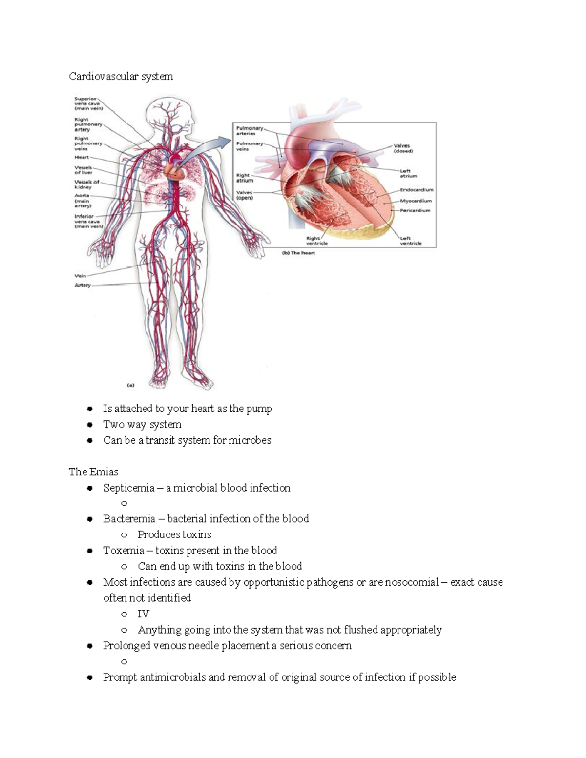 Ch 21 Cardiovascular System And Systemic Diseases - Cardiovascular ...