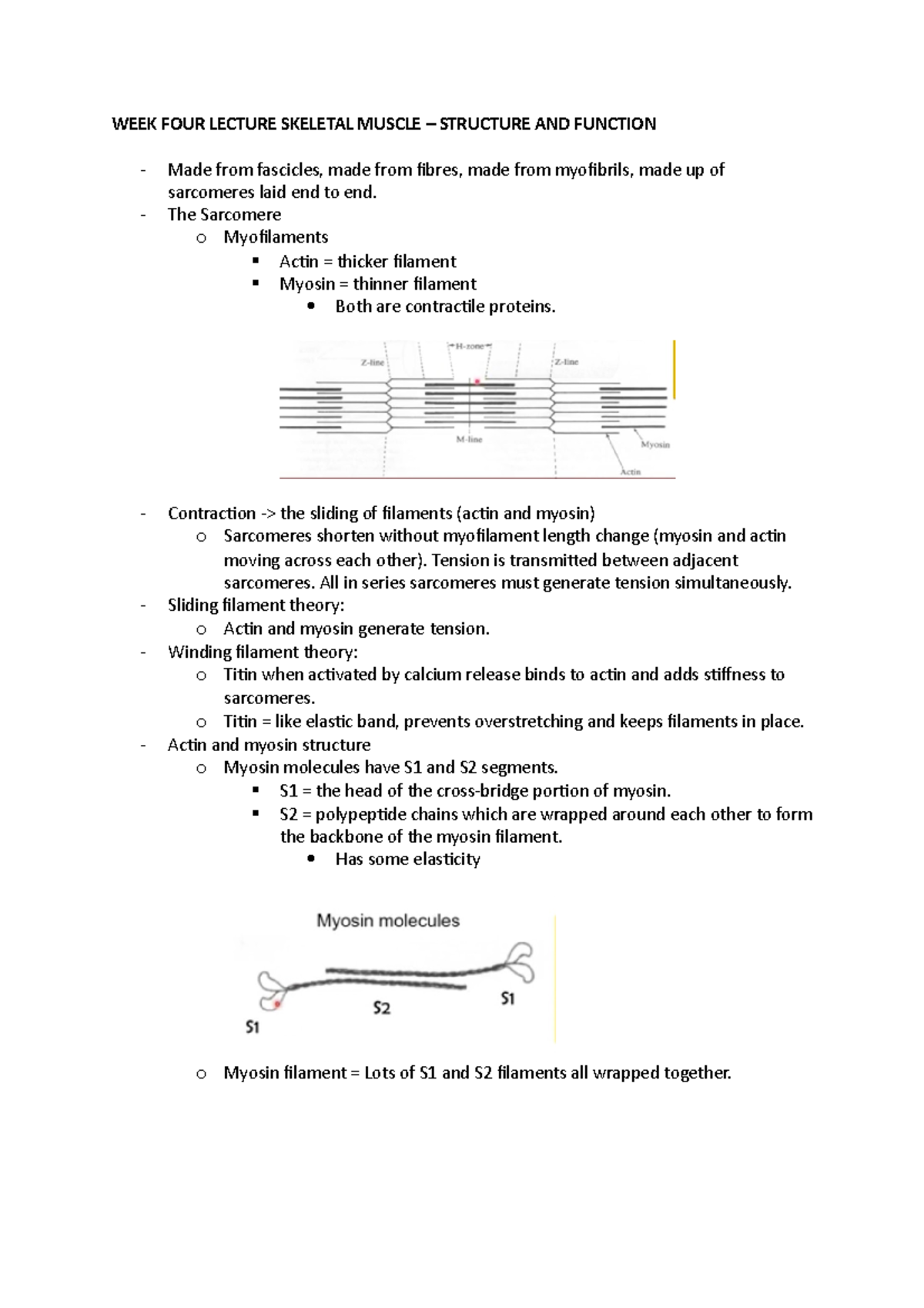 Week four lecture notes xnb274 - skeletal muscle - WEEK FOUR LECTURE ...