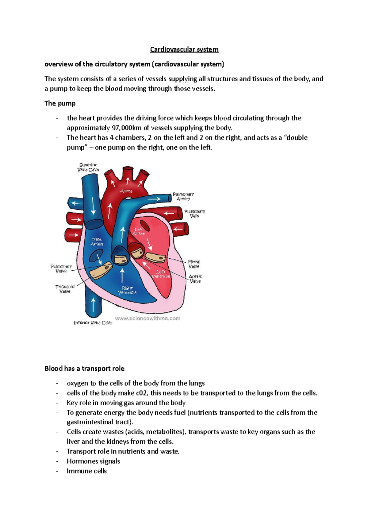 Cardiovascular System - Cardiovascular System Overview Of The ...