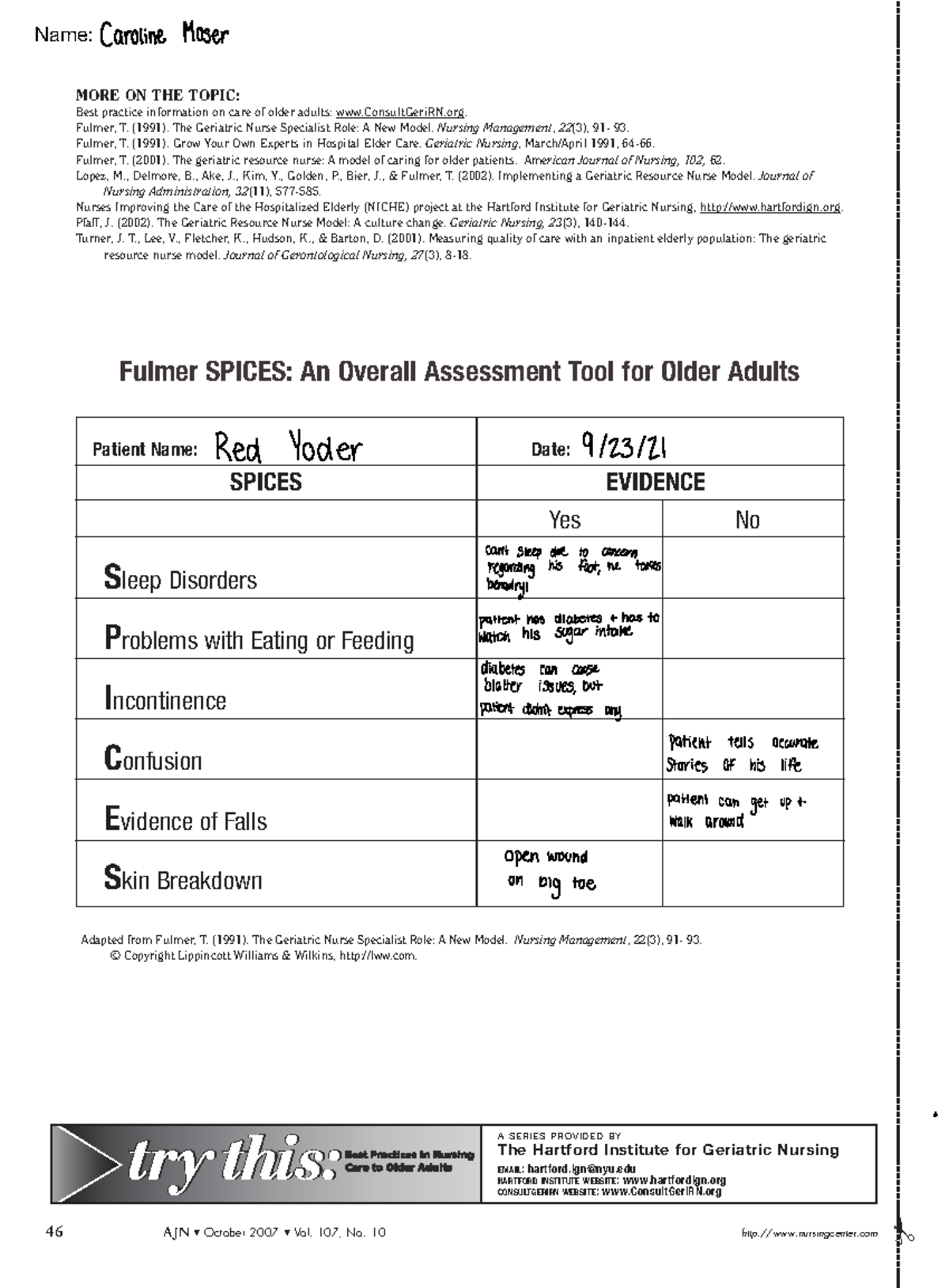 Spices assessment assignment Fulmer SPICES An Overall Assessment